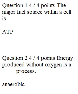 Quiz 3